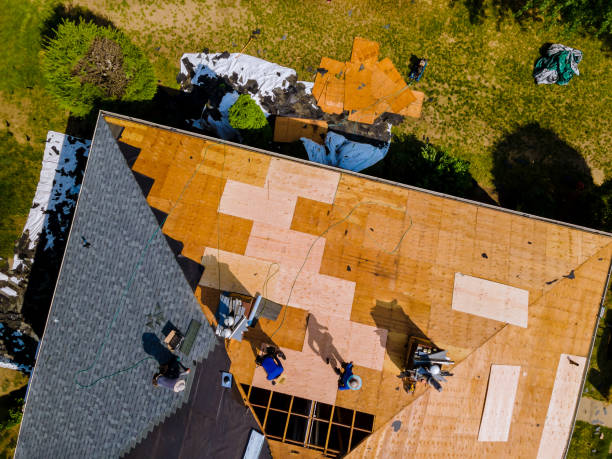 Best Local Roofing Companies  in Azle, TX